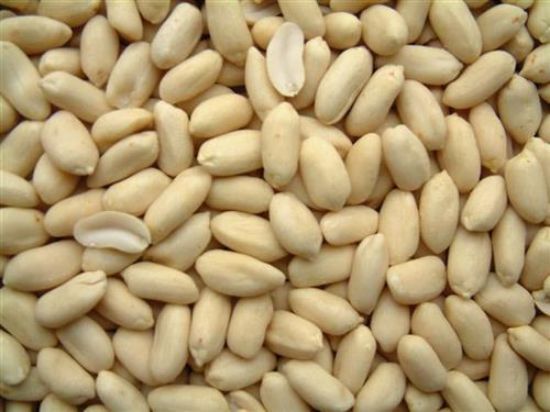 Picture of Blanched Peanuts