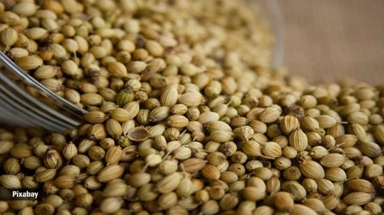 Picture of Coriander Seeds