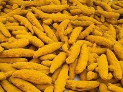 Picture of Turmeric Finger